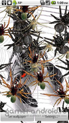 Arachnophobia Arachnophobia