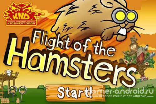Flight of Hamsters Flight of Hamsters