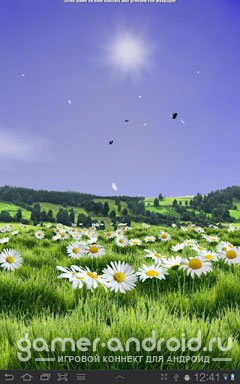 Lovely Daisies Live Wallpaper - Живые обои с Ромашками Lovely Daisies Live Wallpaper - Живые обои с Ромашками