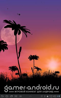 Lovely Daisies Live Wallpaper - Живые обои с Ромашками Lovely Daisies Live Wallpaper - Живые обои с Ромашками