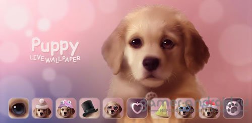 Puppy Live Wallpaper Puppy Live Wallpaper