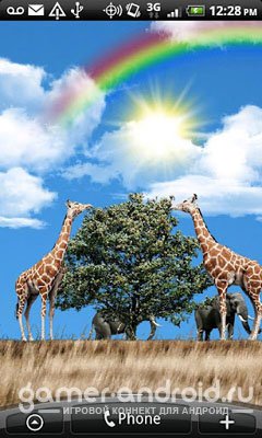 ♥ Safari Live Wallpaper ♥ Safari Live Wallpaper