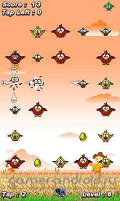 Birds Fight Birds Fight