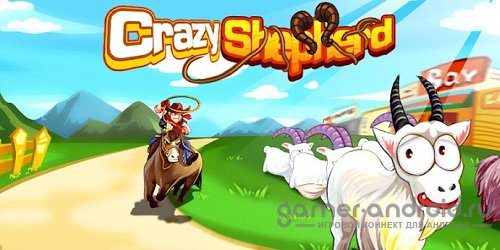 Crazy Shepherd Crazy Shepherd