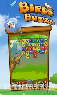 Birds Buzzz