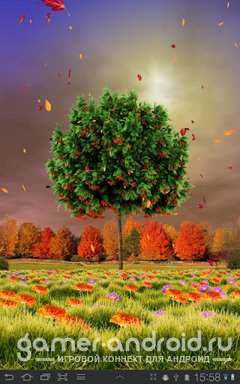 Autumn Trees Live Wallpaper