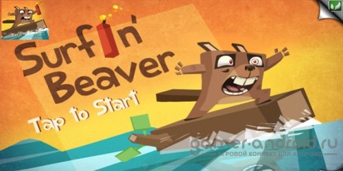 Surfing Beaver