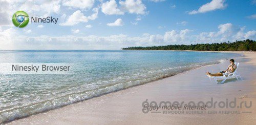 Ninesky Browser