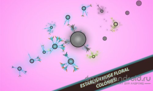 Eufloria HD Eufloria HD