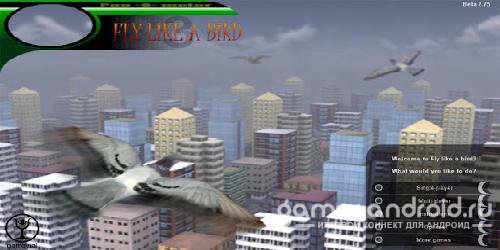 Fly like a bird 3 Fly like a bird 3