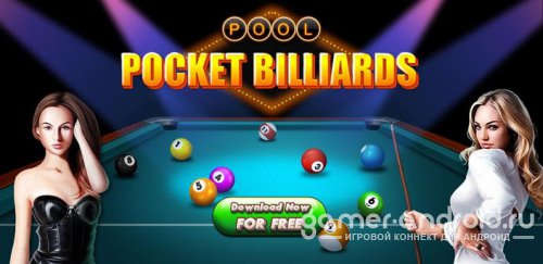 Pocket Billiards