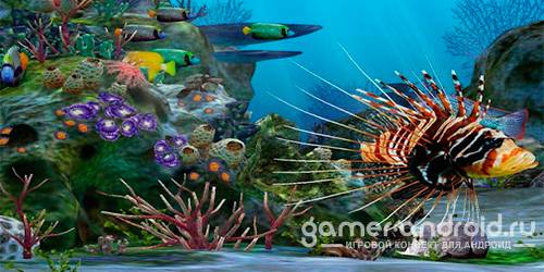 3D Aquarium Live Wallpaper HD